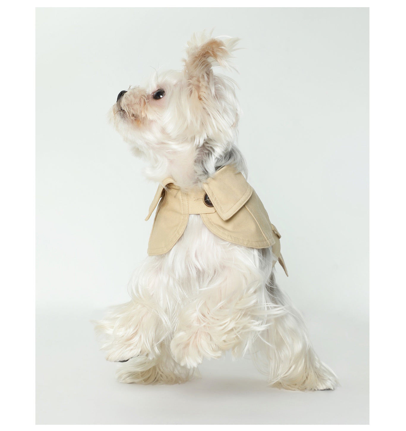 KFX-8129853 Stylish British Trench Coat for Dogs - Lightweight Washed Cotton, Perfect for Spring and Autumn
