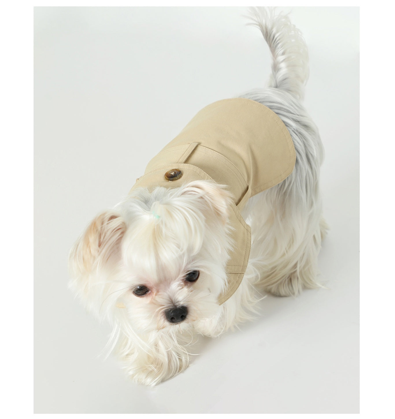KFX-8129853 Stylish British Trench Coat for Dogs - Lightweight Washed Cotton, Perfect for Spring and Autumn