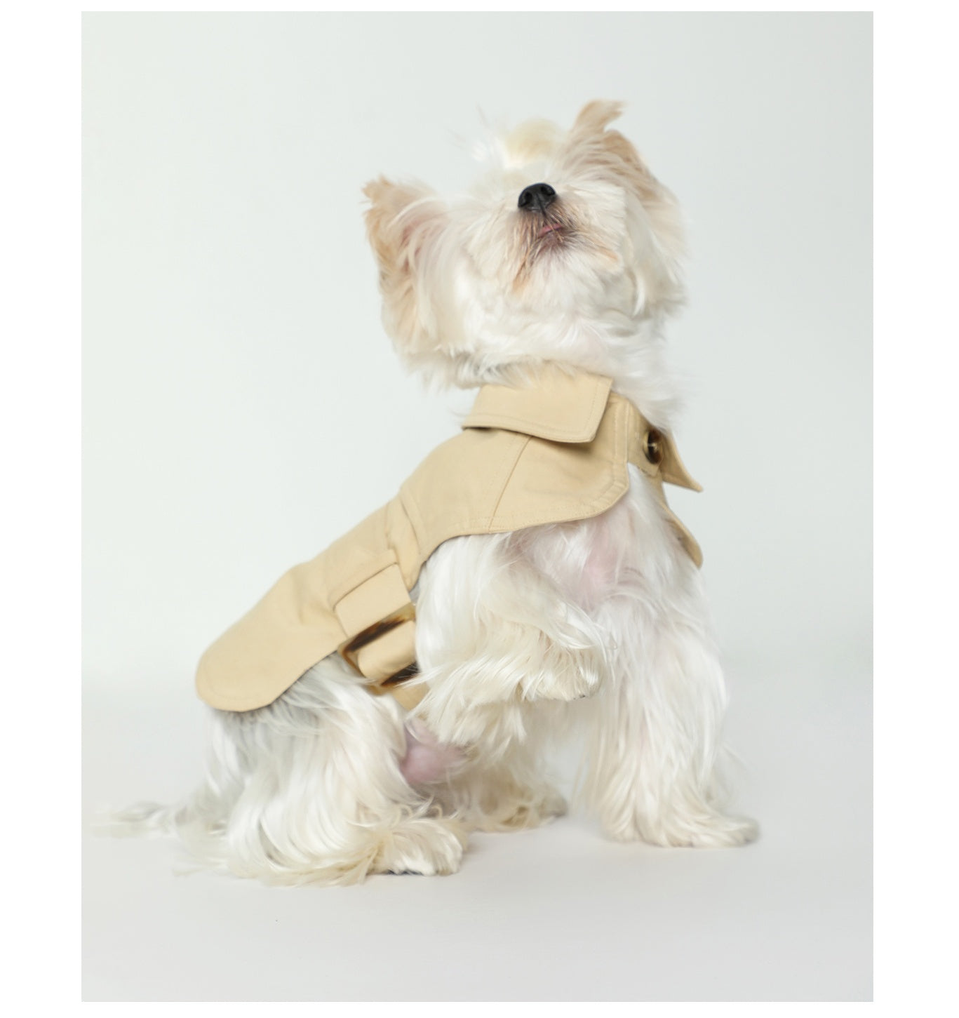 KFX-8129853 Stylish British Trench Coat for Dogs - Lightweight Washed Cotton, Perfect for Spring and Autumn