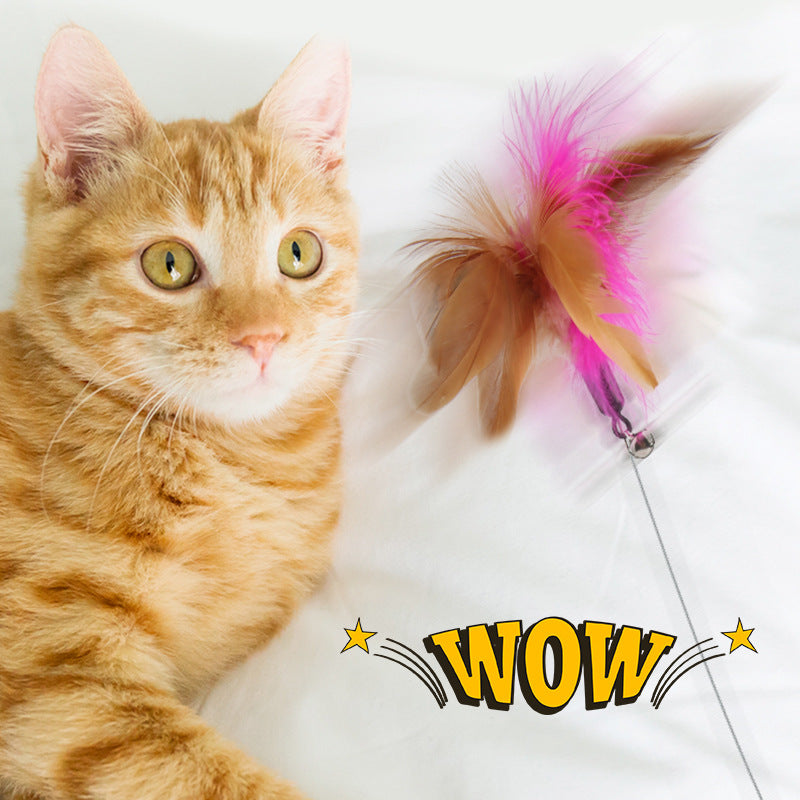 KFX-8135229 Multi-functional Cat Teaser with Silicone Feather and Adjustable Collar for Scarf 17-27cm