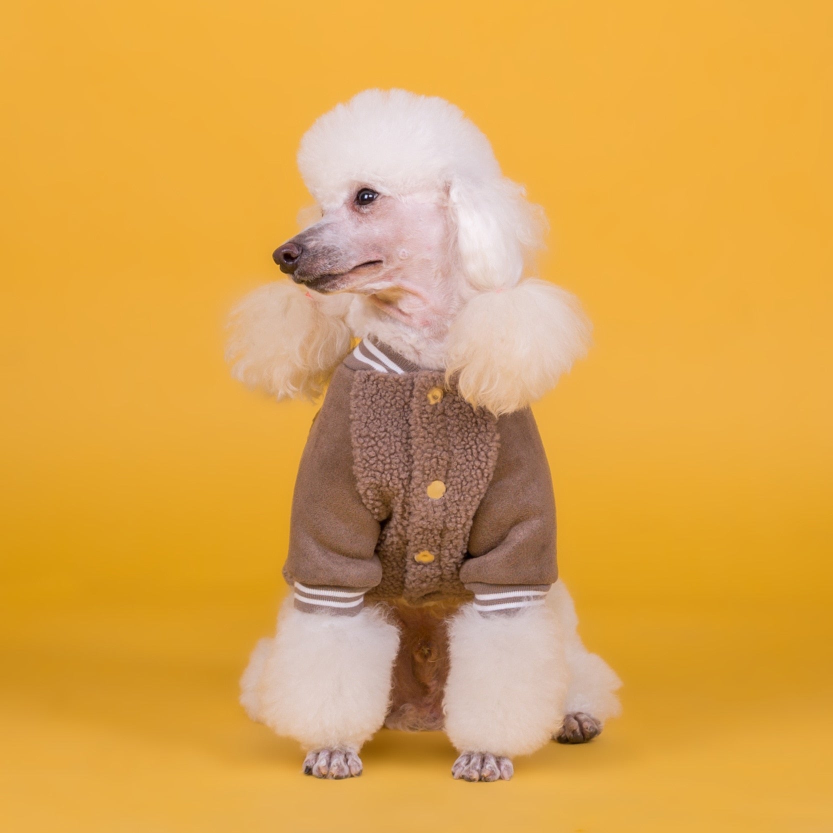 KFX-8135613 Cozy Cotton Dog Cashmere Coat in Brown and Green - Casual Style for Small to XXXL Sizes