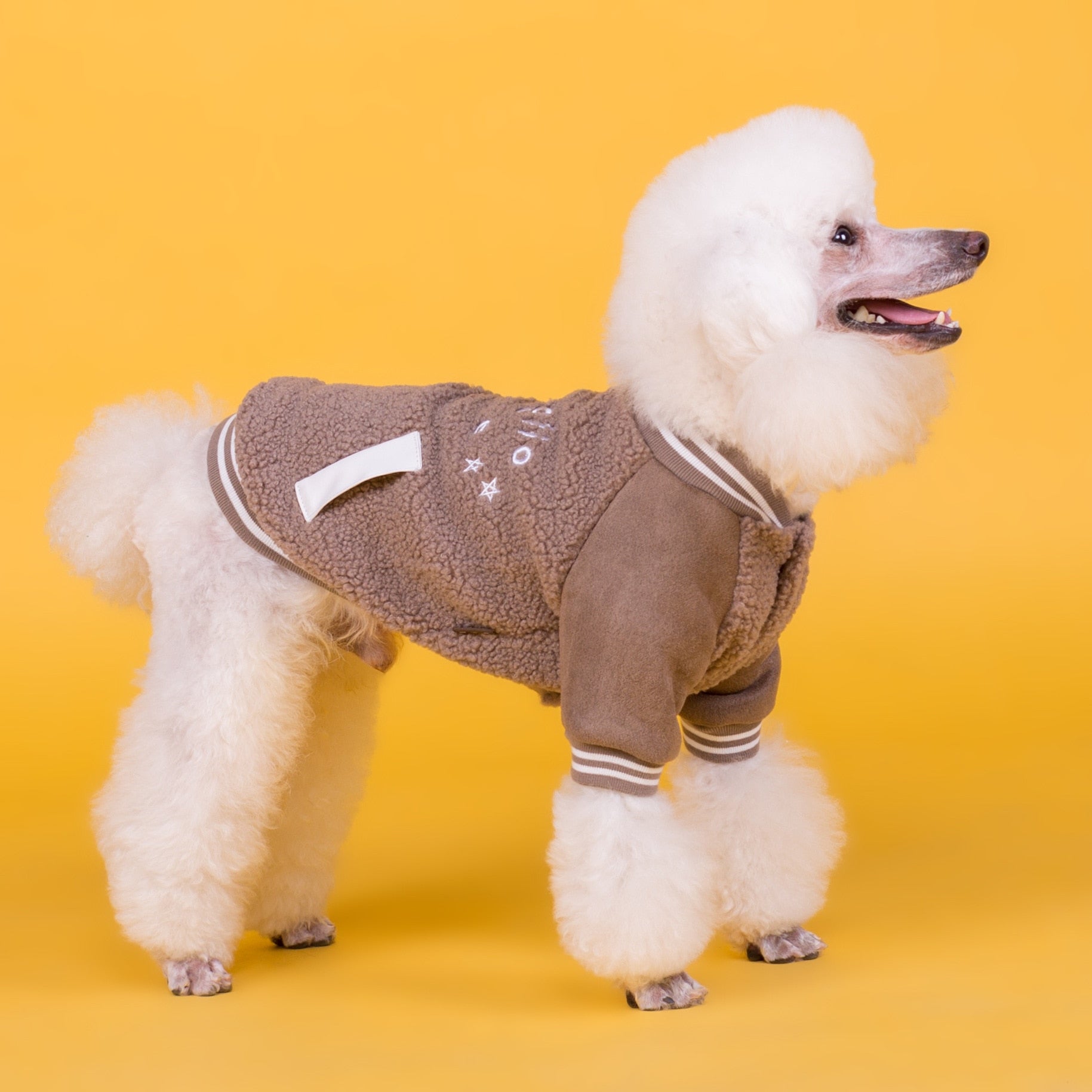 KFX-8135613 Cozy Cotton Dog Cashmere Coat in Brown and Green - Casual Style for Small to XXXL Sizes