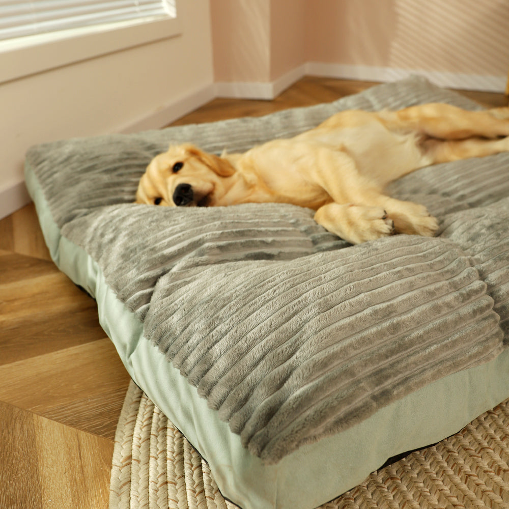 KFX-8137277 Removable and Washable Pet Sleeping Cushion in Silver, Green, and Blue Grey Options
