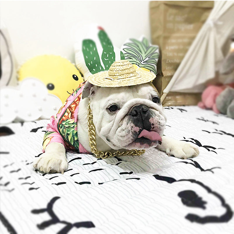 KFX-8141373 Casual Cotton Shirt for Pets - Pink Pineapple Design - Multiple Sizes Available