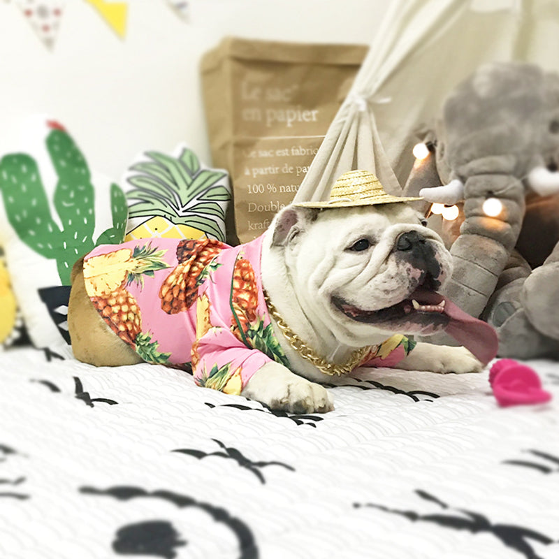 KFX-8141373 Casual Cotton Shirt for Pets - Pink Pineapple Design - Multiple Sizes Available