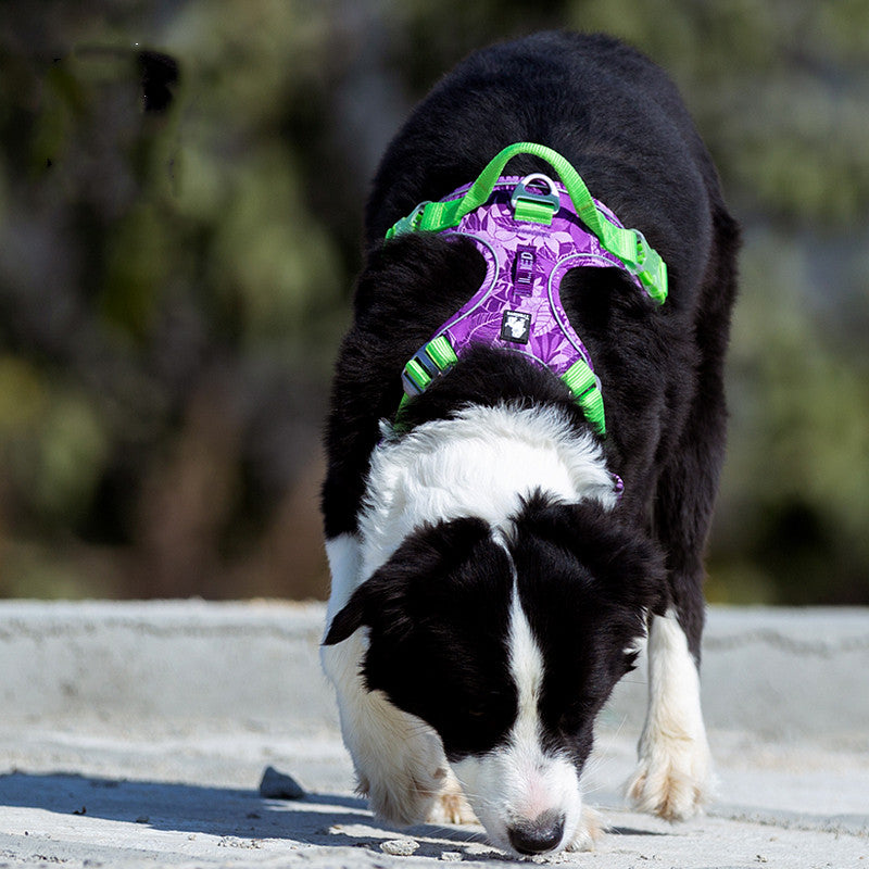KFX-8142269 Adjustable Dog Traction Chest Strap - Nylon & Aluminum Alloy - Red, Blue, Green, Purple - Size XS to XL