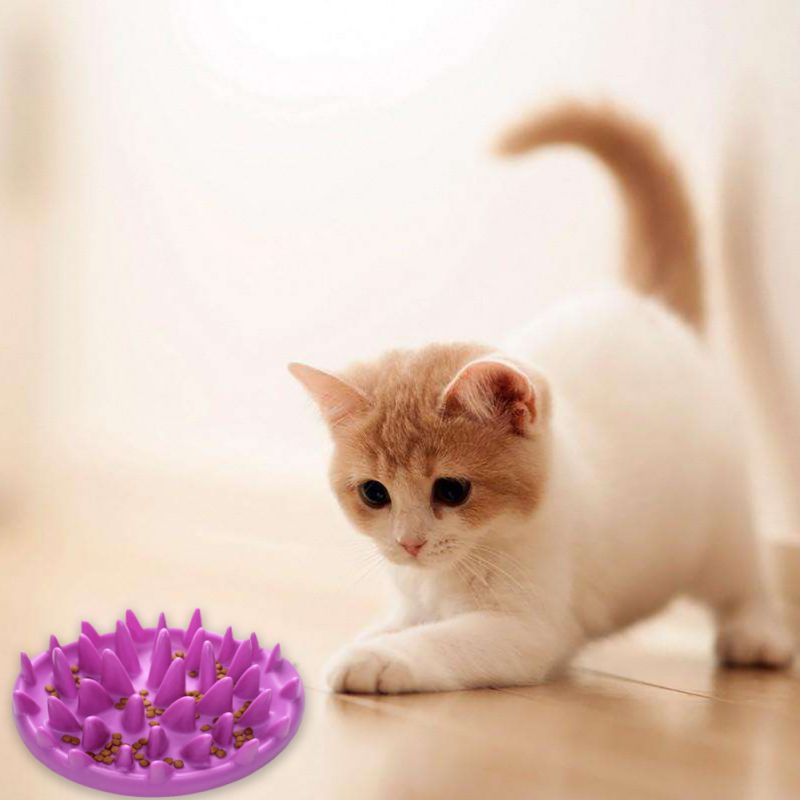 KFX-8143165 Interactive Slow Feeding Bowl for Cats and Small Dogs - Stimulates Mind and Reduces Eating Speed