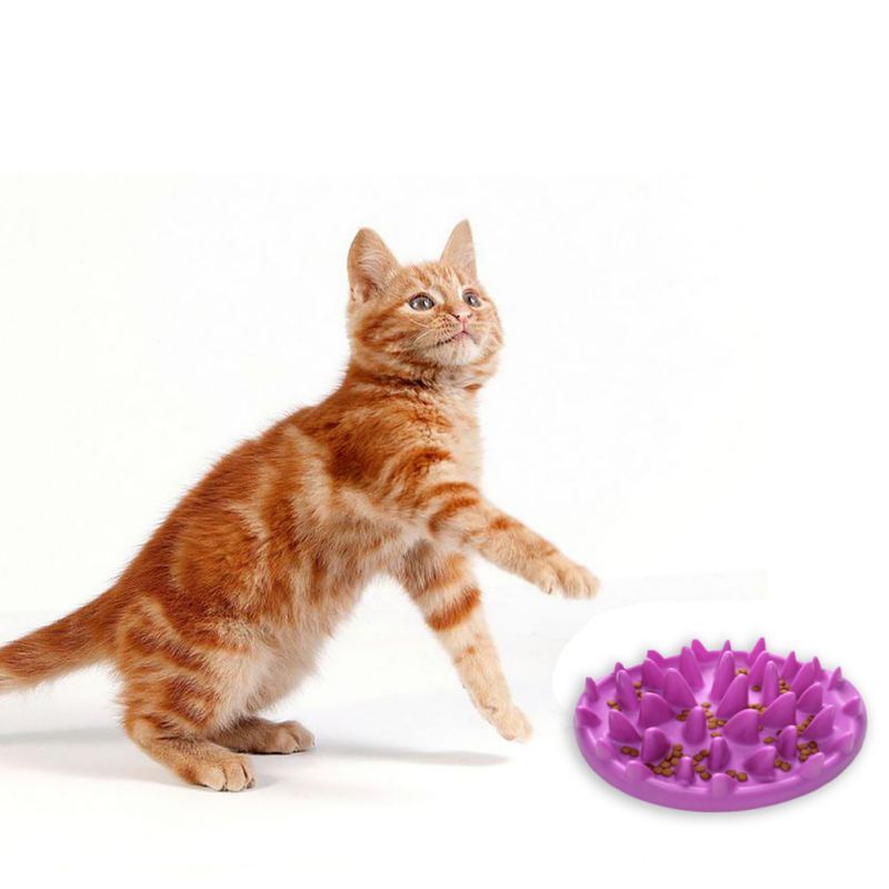 KFX-8143165 Interactive Slow Feeding Bowl for Cats and Small Dogs - Stimulates Mind and Reduces Eating Speed
