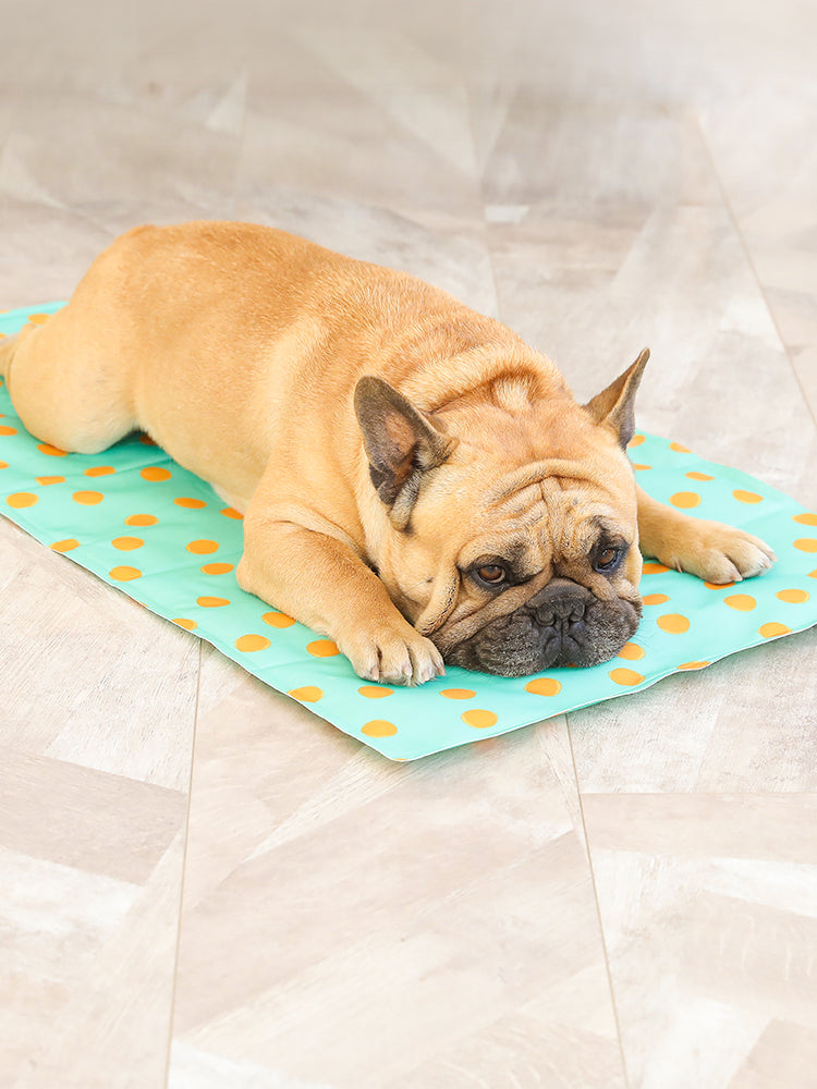 KFX-8144829 Pet Gel Ice Pad for Cooling Relief and Comfort for Pets