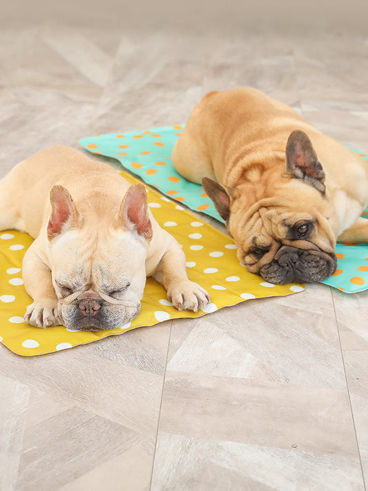 KFX-8144829 Pet Gel Ice Pad for Cooling Relief and Comfort for Pets