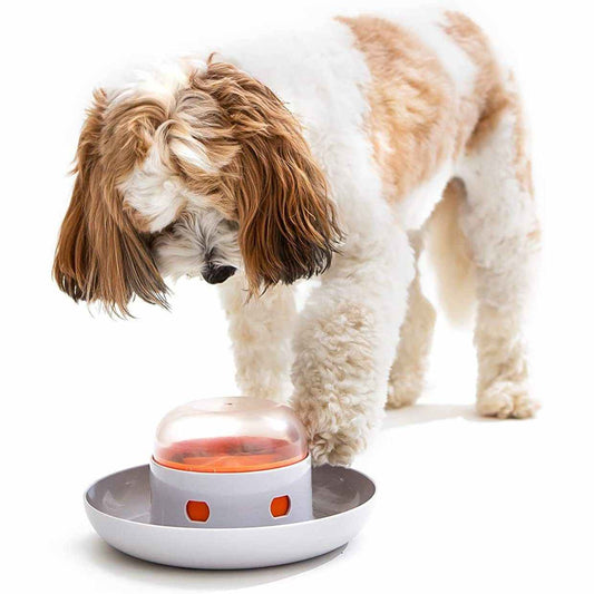KFX-8160445 Automatic Pet Feeder for Dogs and Cats with Press Leakage Design