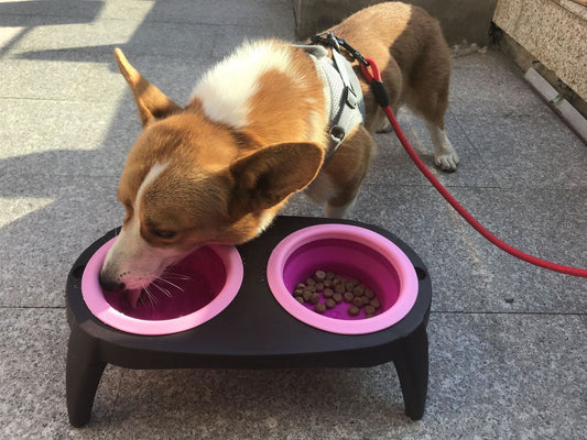 KFX-8166205 Portable Double Pet Bowl with Convenient Folding Design - Made of Durable PP and TPR Materials