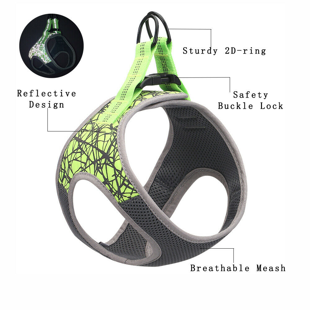KFX-8169277 Adjustable Dog Leash Vest in Blue and Green, Sizes S to XL, Made of Polyester and Nylon