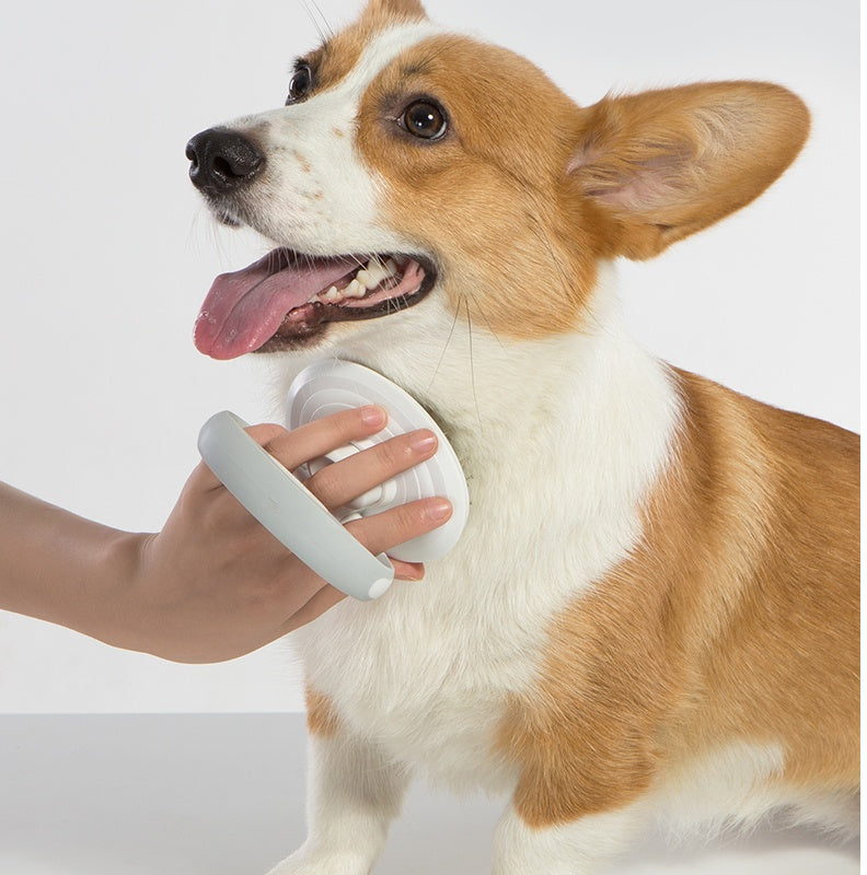 KFX-8171581 Self-Cleaning Wire Brush for Pets - Plastic Comb in White, Pink, and Blue