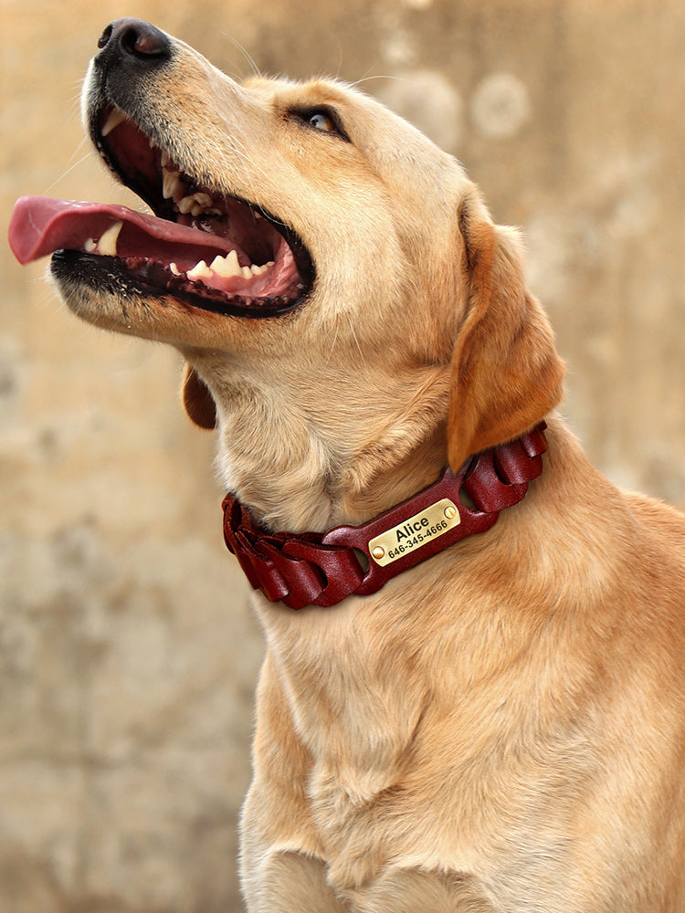 KFX-8171837 Braided Leather Dog Collar for Medium to Large Dogs - Dark Brown & Vermilion Cowhide Design