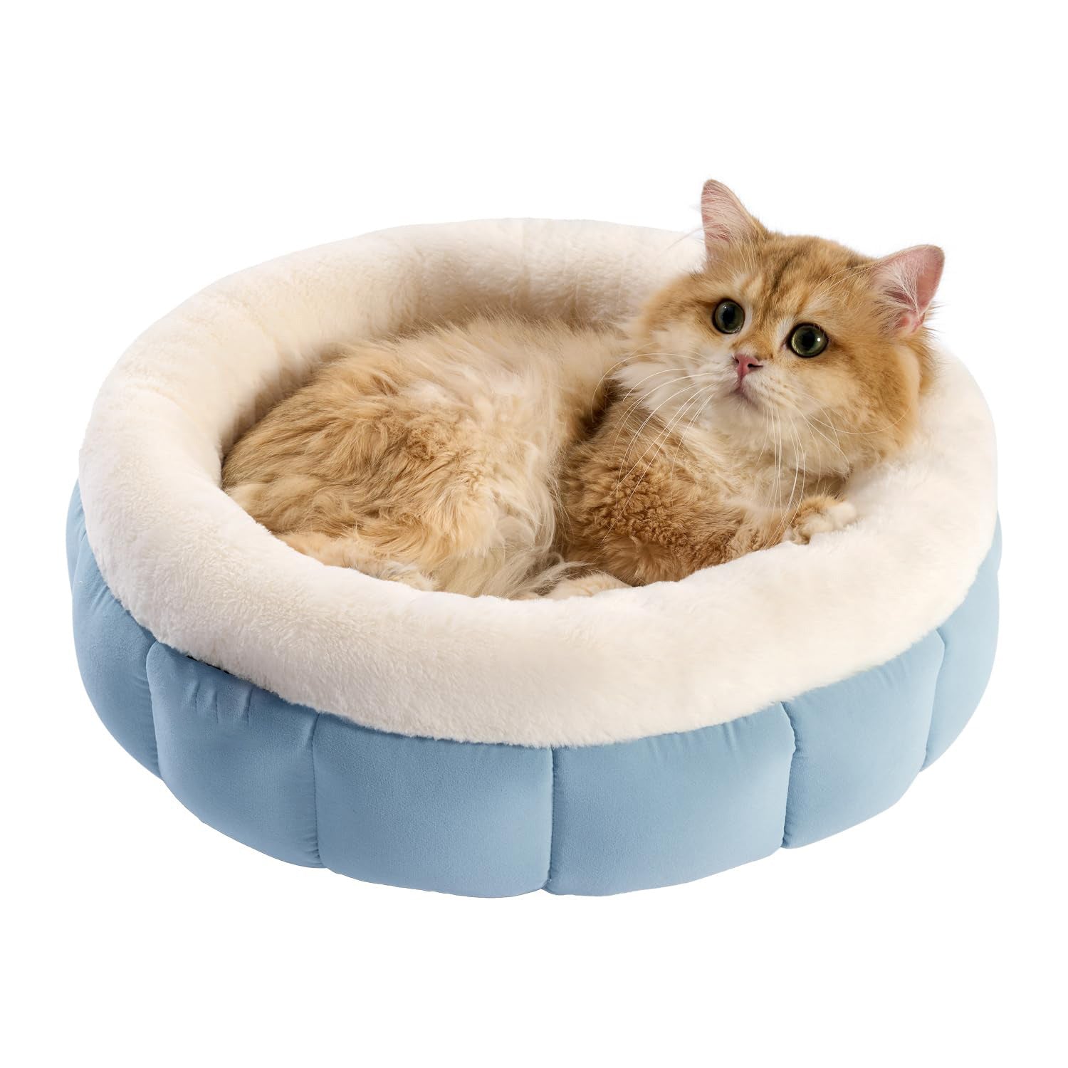 KFX-8175805 Donut Shape Pet Bed for Small Dogs and Cats - Washable with Anti-Slip Bottom