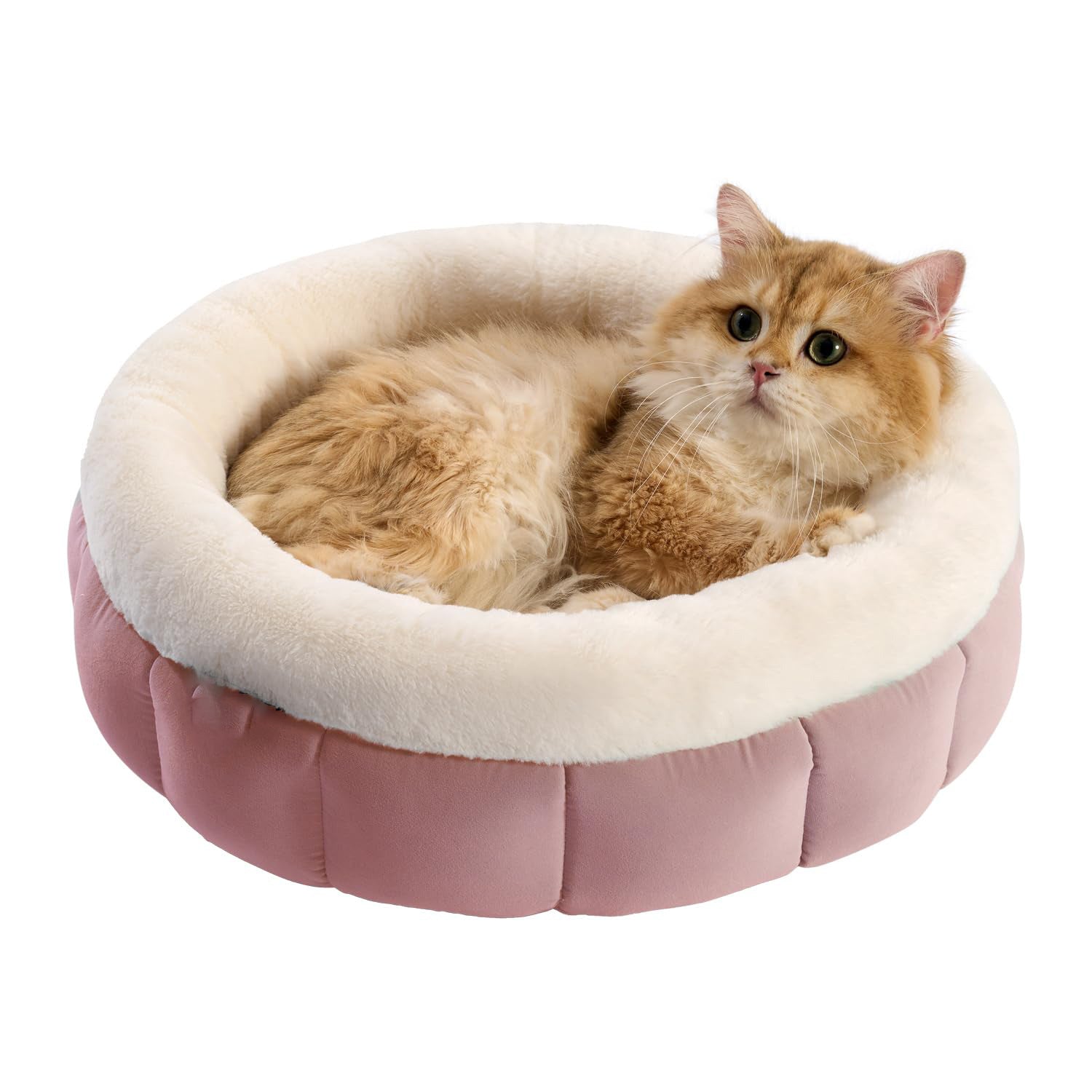KFX-8175805 Donut Shape Pet Bed for Small Dogs and Cats - Washable with Anti-Slip Bottom