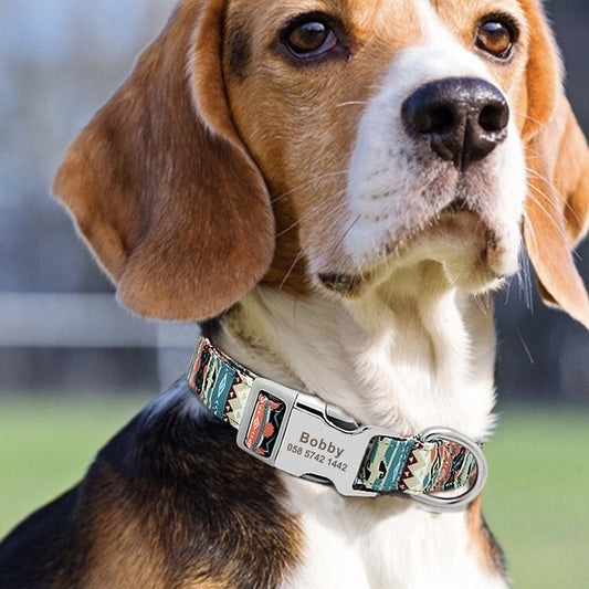KFX-8177725 Adjustable Semi-Metal Dog Tag Collar with Anti-Lost Features for Medium and Large Dogs