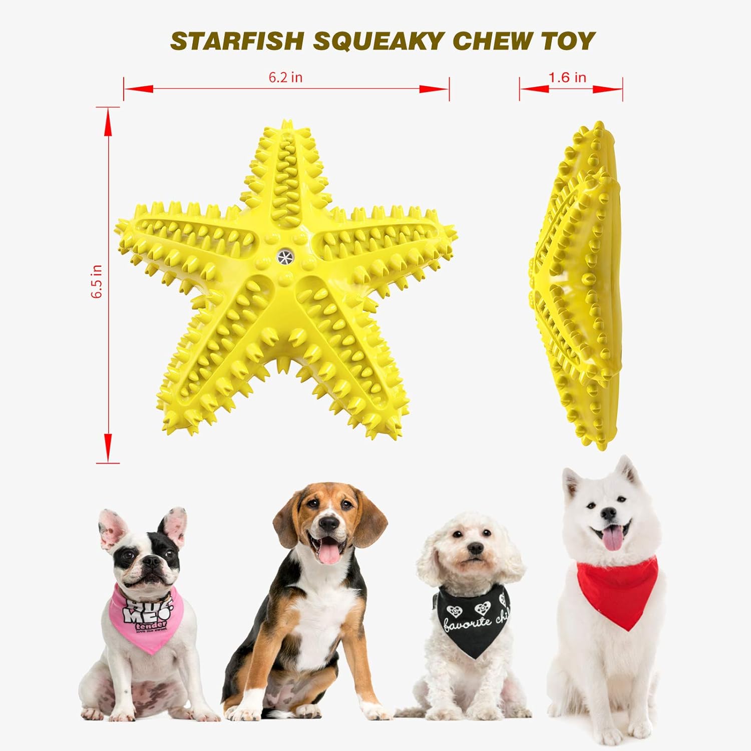KFX-8179901 Natural Starfish Toothbrush for Small and Medium Dogs - Effective Dental Care Tool