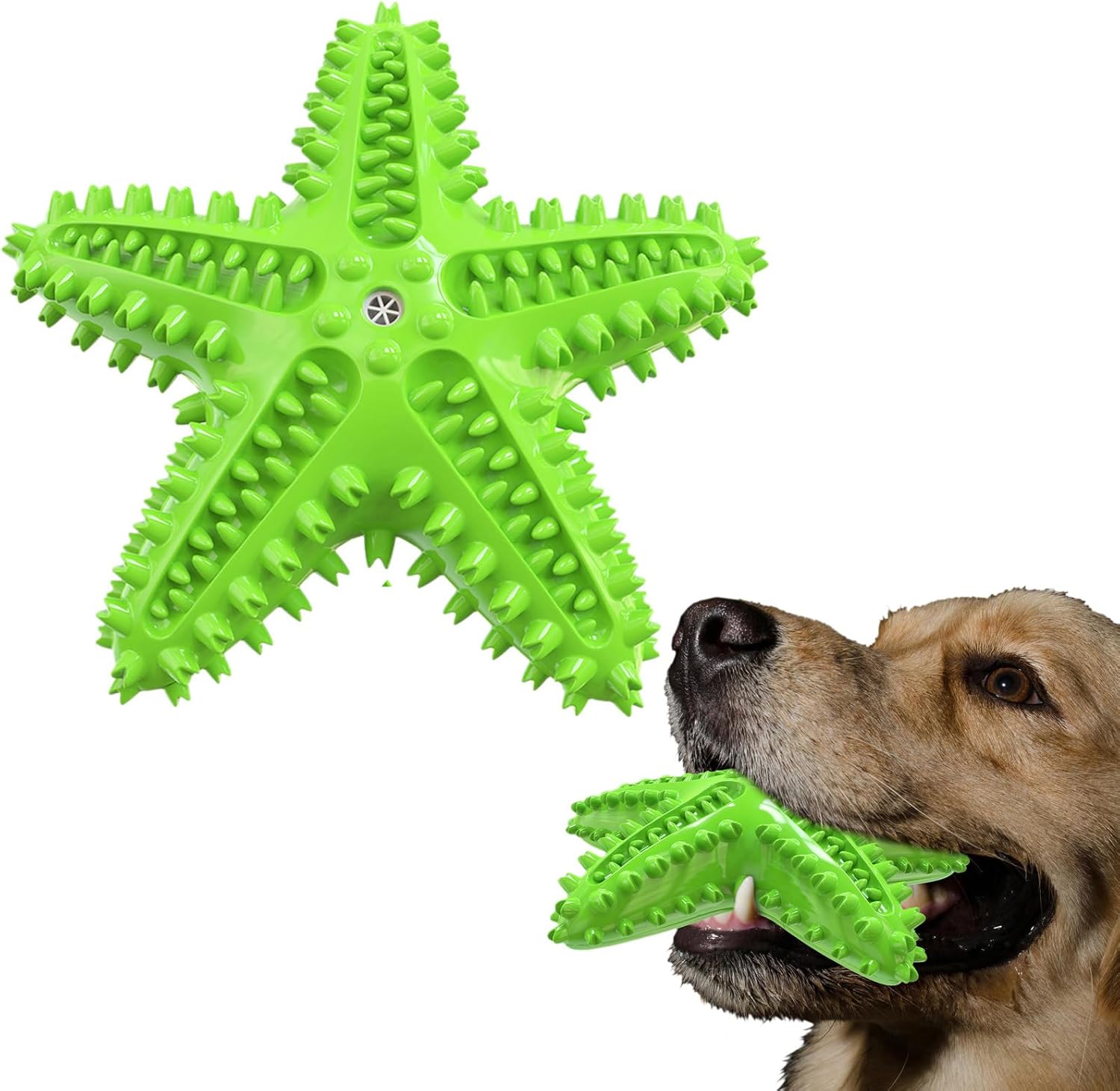 KFX-8179901 Natural Starfish Toothbrush for Small and Medium Dogs - Effective Dental Care Tool