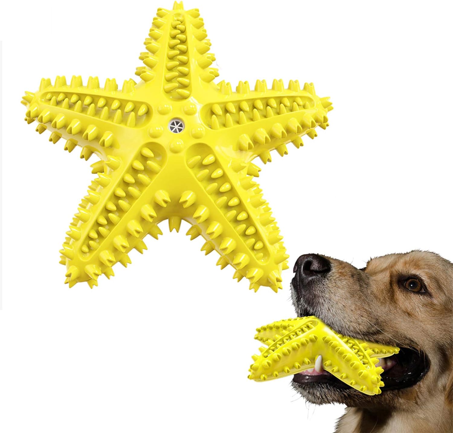 KFX-8179901 Natural Starfish Toothbrush for Small and Medium Dogs - Effective Dental Care Tool