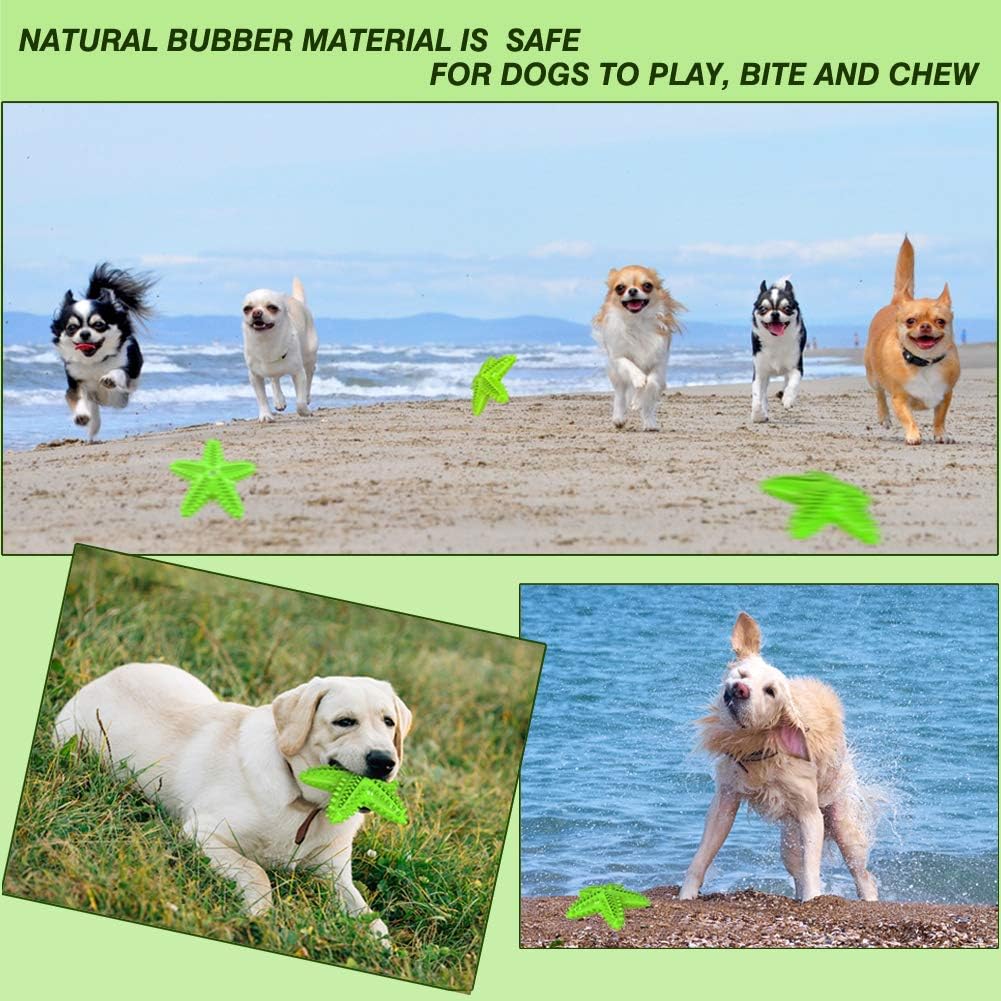 KFX-8179901 Natural Starfish Toothbrush for Small and Medium Dogs - Effective Dental Care Tool