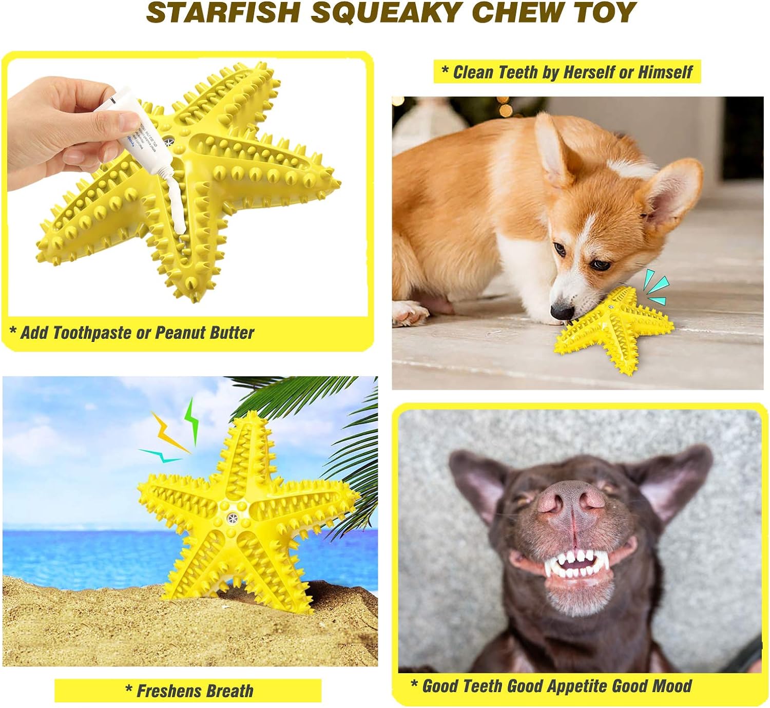 KFX-8179901 Natural Starfish Toothbrush for Small and Medium Dogs - Effective Dental Care Tool