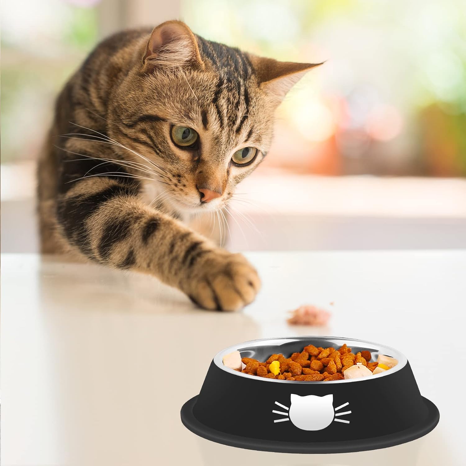 KFX-8182973 Non-Slip Stainless Steel Cat Food Bowls with Removable Rubber Base for Small Cats