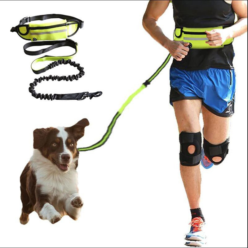 KFX-8184765 Adjustable Hands-Free Dog Leash with Shock Absorbing Bungee, Phone Pocket, and Water Bottle Holder for Large Dogs up to 180lbs