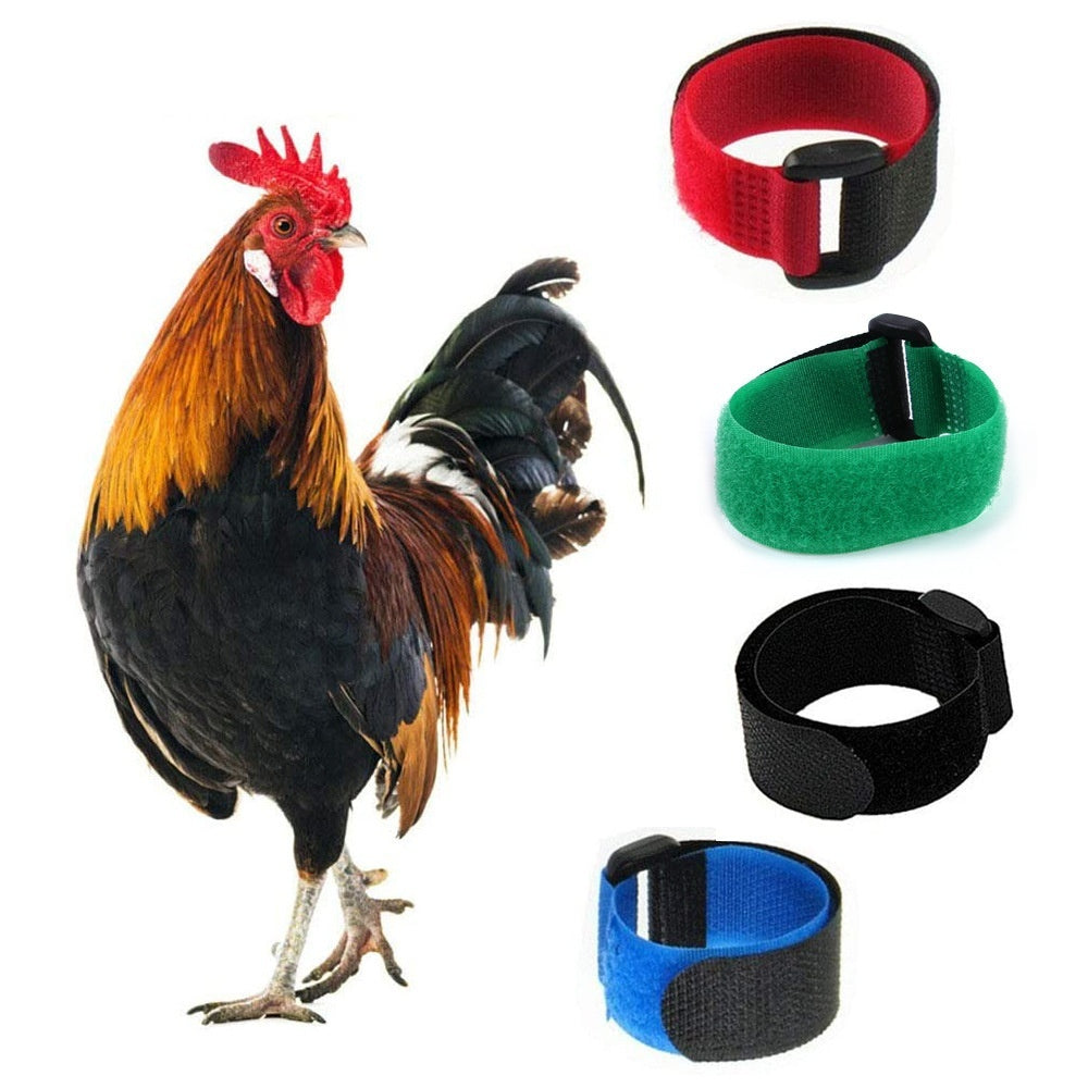 KFX-8189885 Pet Chicken Collar Set - 2-Pack Anti-Cock Ringing Neck Bands for Poultry - Christmas Colors