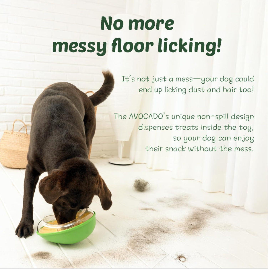 KFX-8193213 Anti-Tumble Green Avocado Pet Feeding Bowl for Cats and Dogs