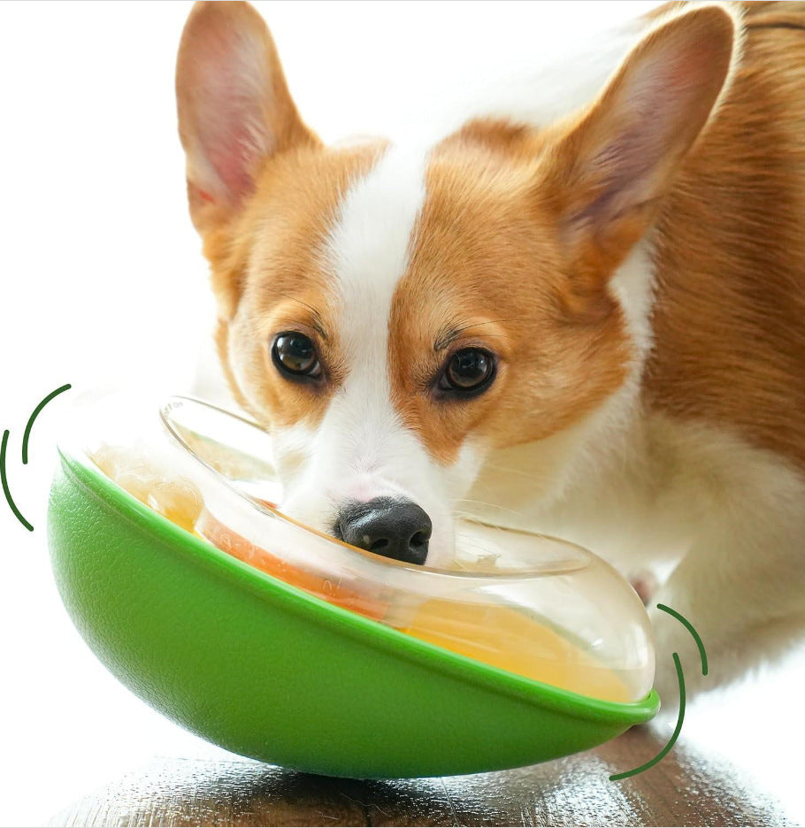 KFX-8193213 Anti-Tumble Green Avocado Pet Feeding Bowl for Cats and Dogs