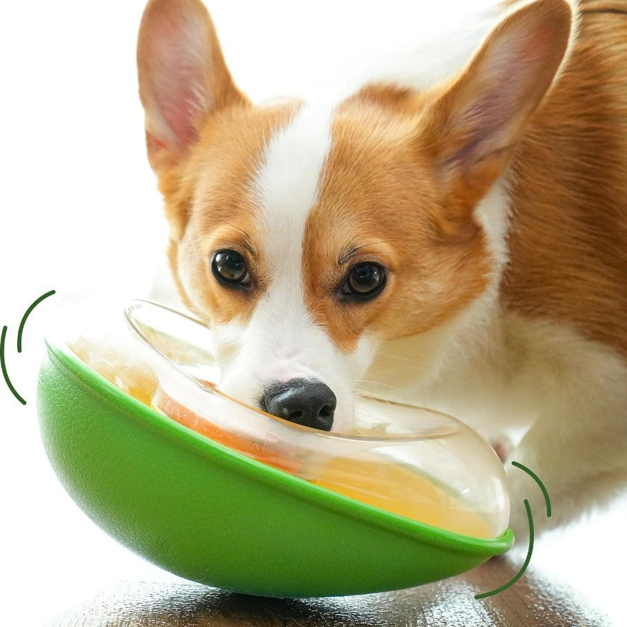 KFX-8193213 Anti-Tumble Green Avocado Pet Feeding Bowl for Cats and Dogs