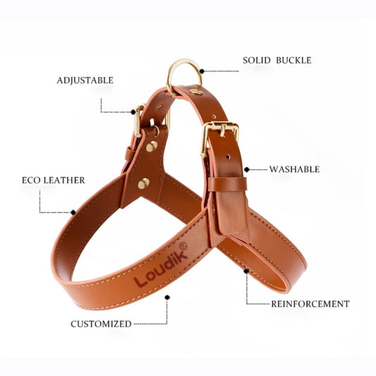 KFX-8207805 Adjustable Leather Harness and Leash Set for Dogs and Cats in Multiple Colors and Sizes