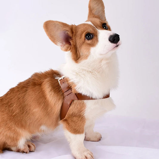 KFX-8207805 Adjustable Leather Harness and Leash Set for Dogs and Cats in Multiple Colors and Sizes