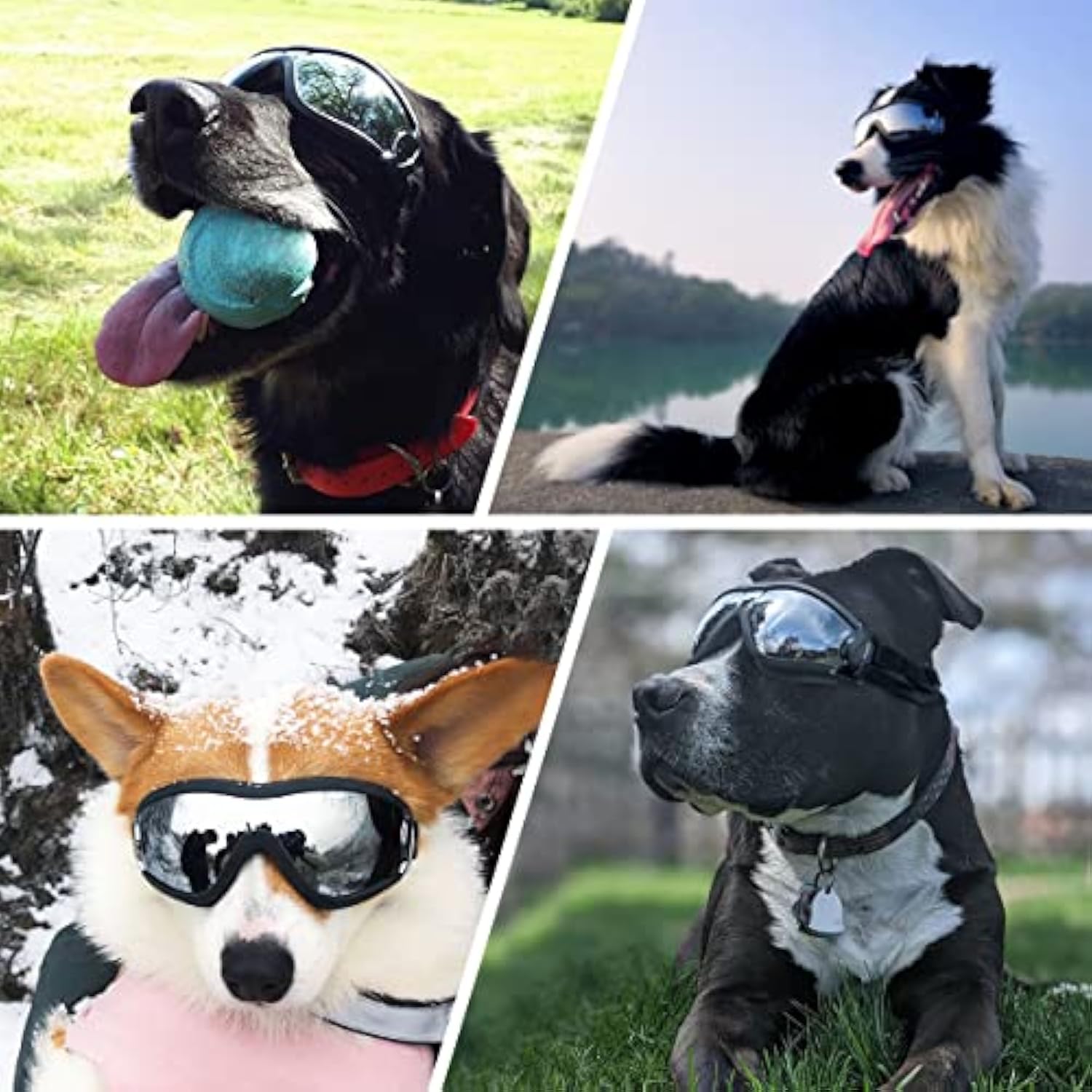 KFX-8212669 Windproof Dog Sunglasses for Large and Medium Breeds with Sun Protection and Anti-Fog Lens