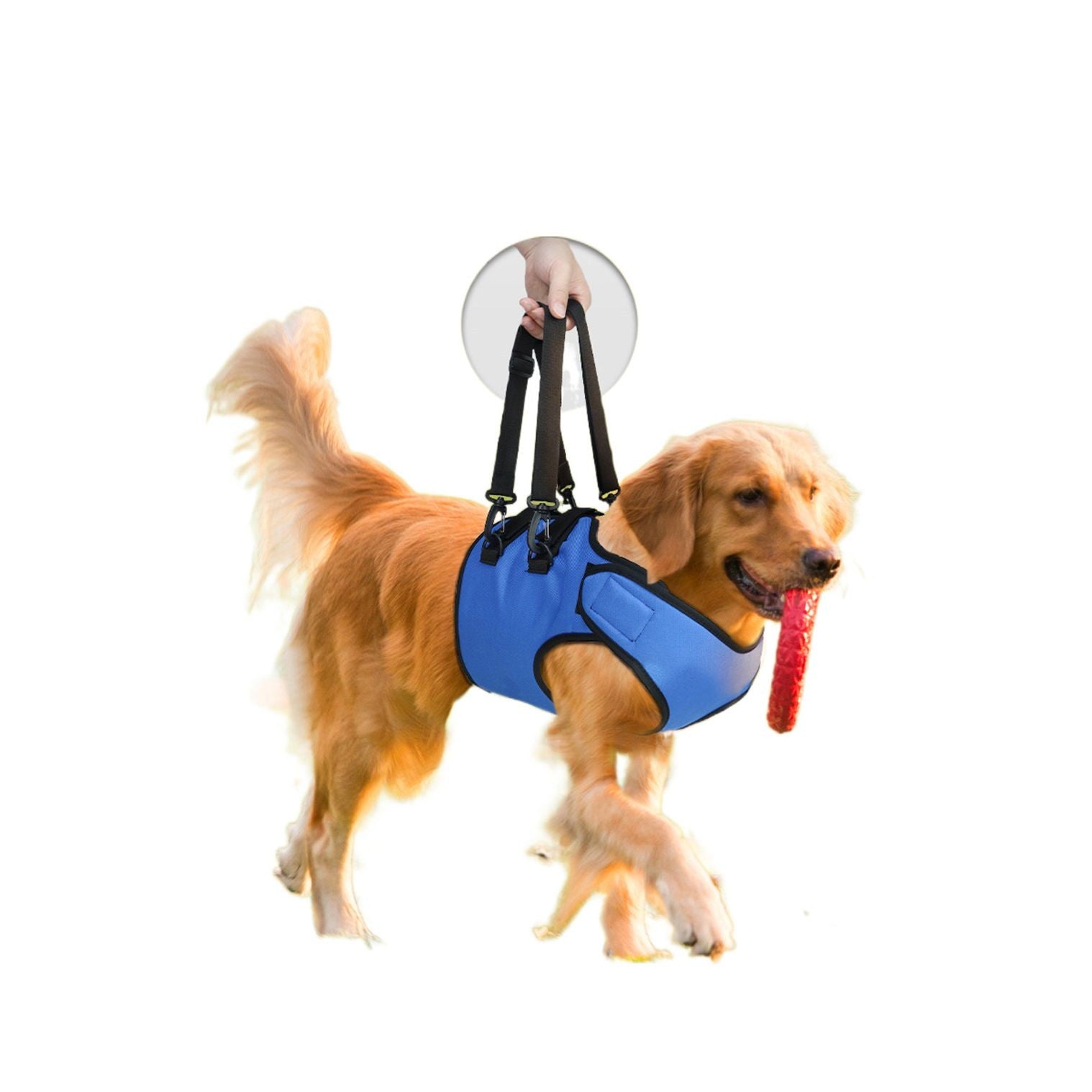 KFX-8213565 Rehabilitation Training Belt for Senior Dogs, Adjustable Oxford Fabric, Blue, Sizes S-L
