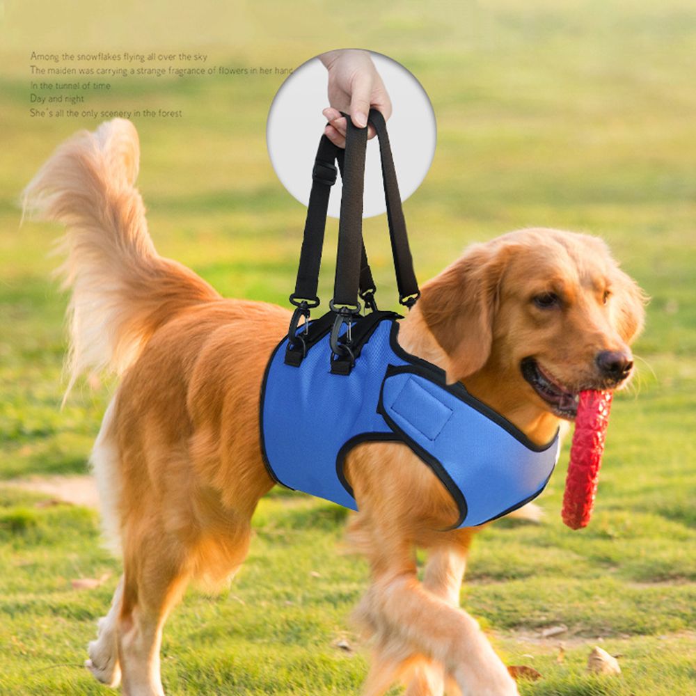KFX-8213565 Rehabilitation Training Belt for Senior Dogs, Adjustable Oxford Fabric, Blue, Sizes S-L