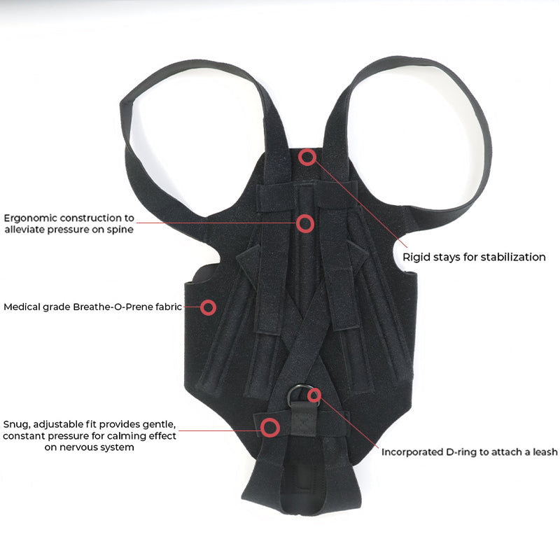 KFX-8213949 Dog Back Brace for IVDD, Arthritis, Back Pain, and Surgical Recovery - Adjustable Support for Stability and Comfort