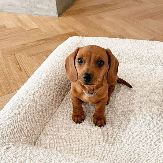 KFX-8224061 Beige Rectangular Bed Sofa Nest for Dogs - Various Sizes Available