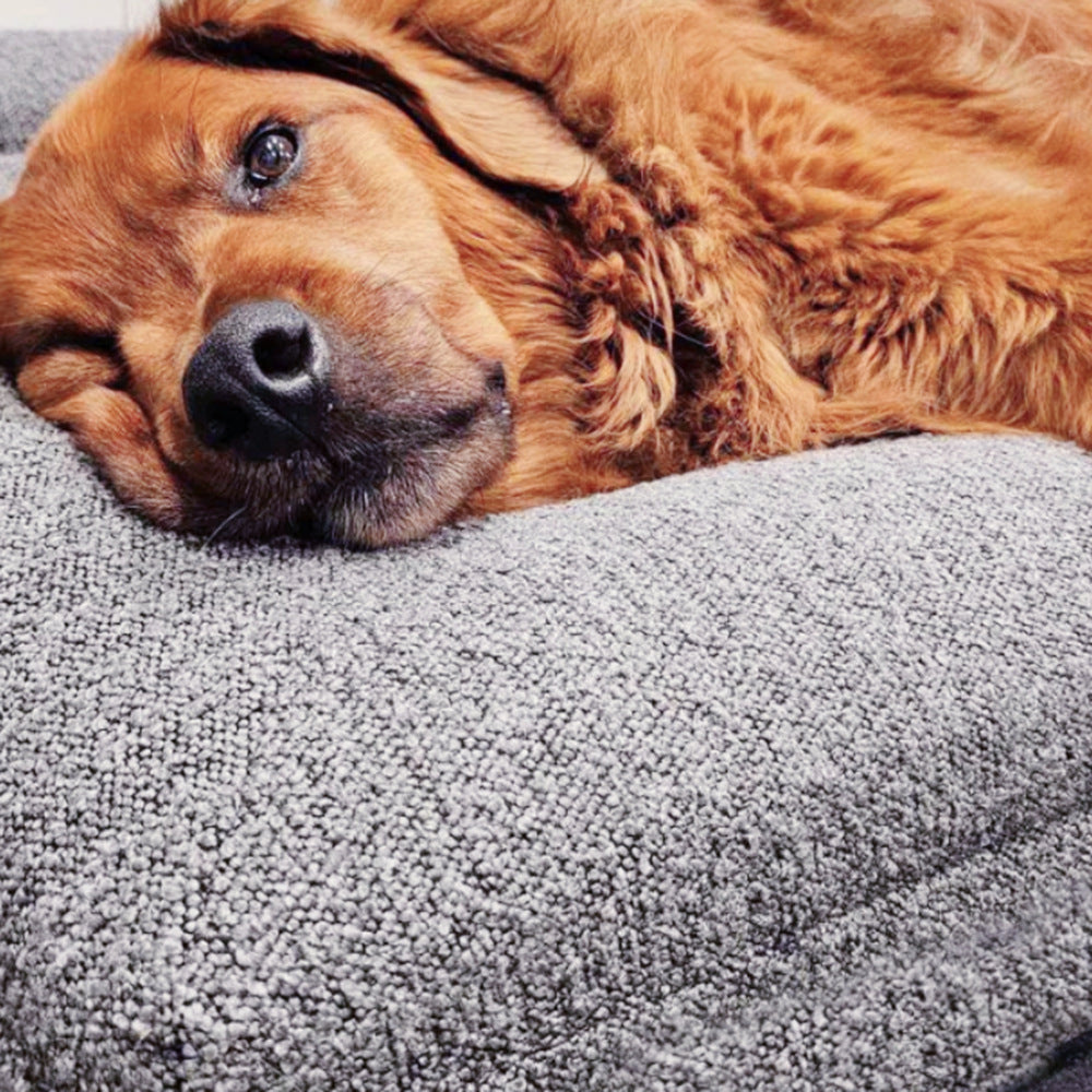 KFX-8224061 Beige Rectangular Bed Sofa Nest for Dogs - Various Sizes Available