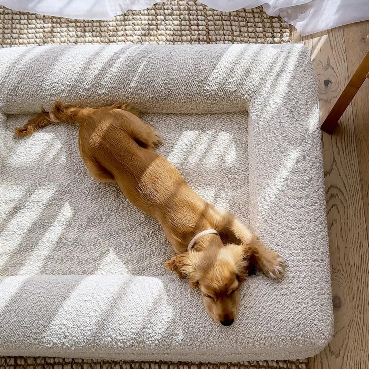 KFX-8224061 Beige Rectangular Bed Sofa Nest for Dogs - Various Sizes Available