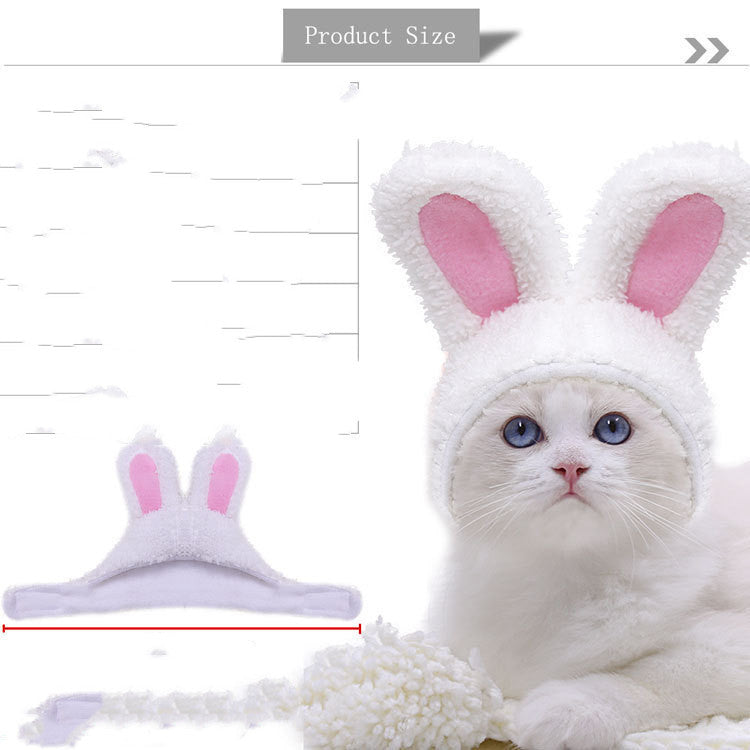 KFX-8224829 Adorable Pet Lion and Cartoon Hats for Every Season - Brown, Purple, and More