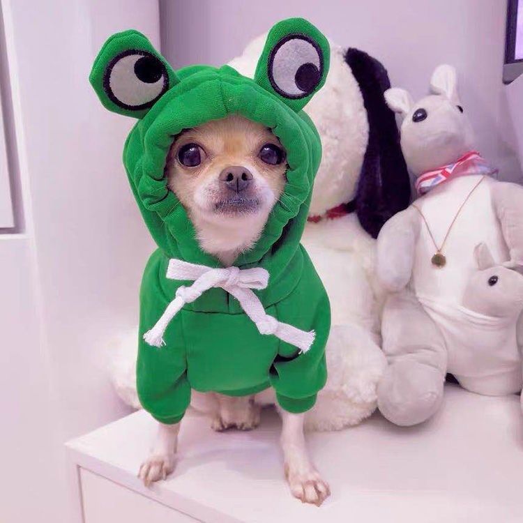 KFX-8225085 Cozy Cream Fleece Dog Hoodie for Autumn and Winter - Two-Legged Design