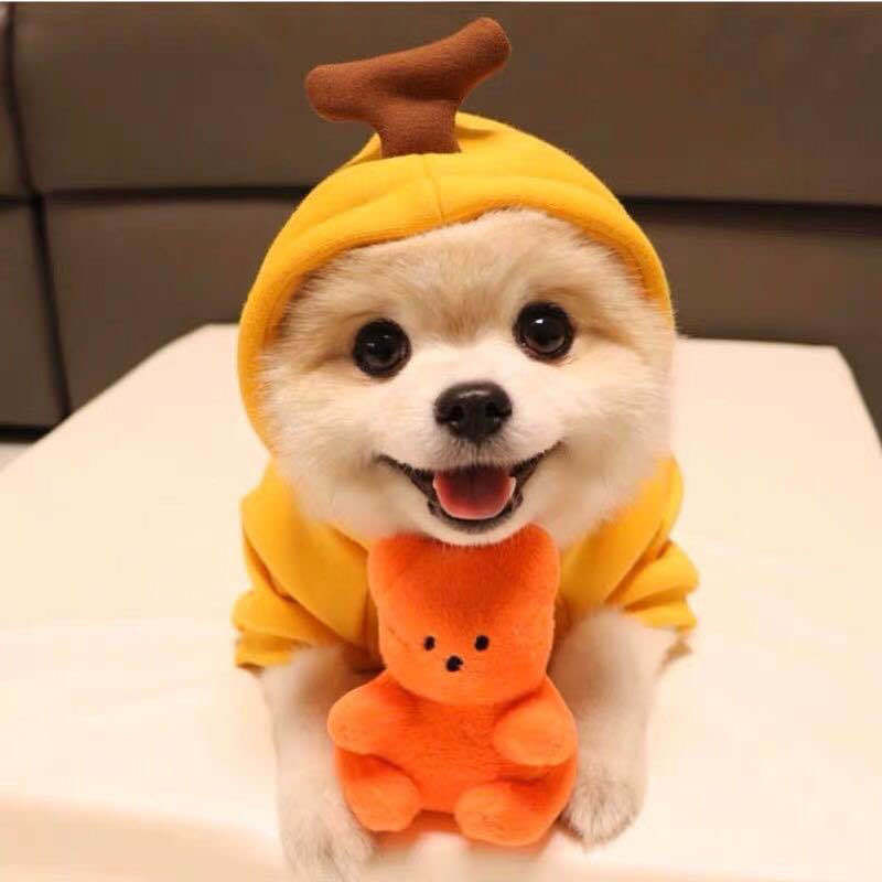 KFX-8225085 Cozy Cream Fleece Dog Hoodie for Autumn and Winter - Two-Legged Design