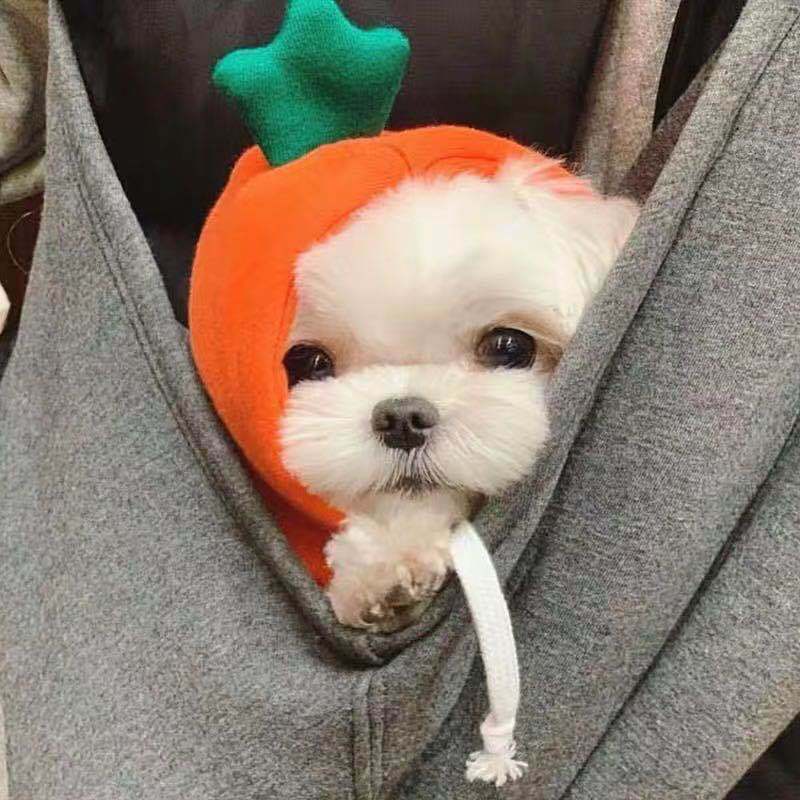 KFX-8225085 Cozy Cream Fleece Dog Hoodie for Autumn and Winter - Two-Legged Design
