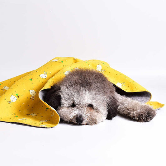 KFX-8226621 Cozy Double-sided Cotton Velvet Pet Blanket - Various Cute Designs and Sizes