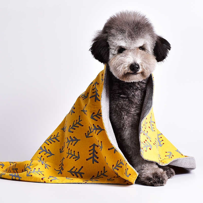 KFX-8226621 Cozy Double-sided Cotton Velvet Pet Blanket - Various Cute Designs and Sizes