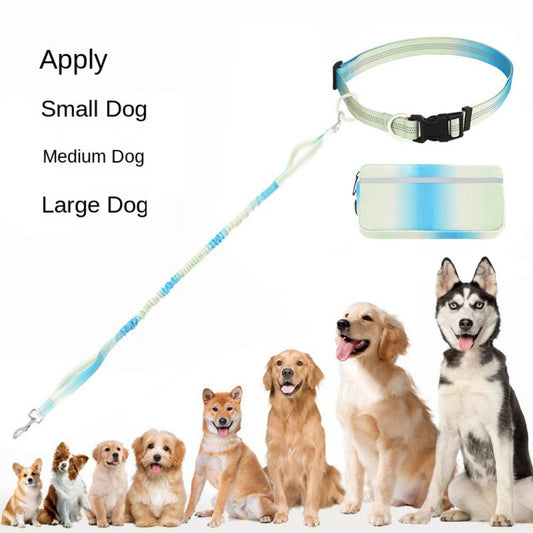 KFX-8227261 Hands-Free Dog Leash with Adjustable Waist Belt, Traction Rope for Walking and Jogging