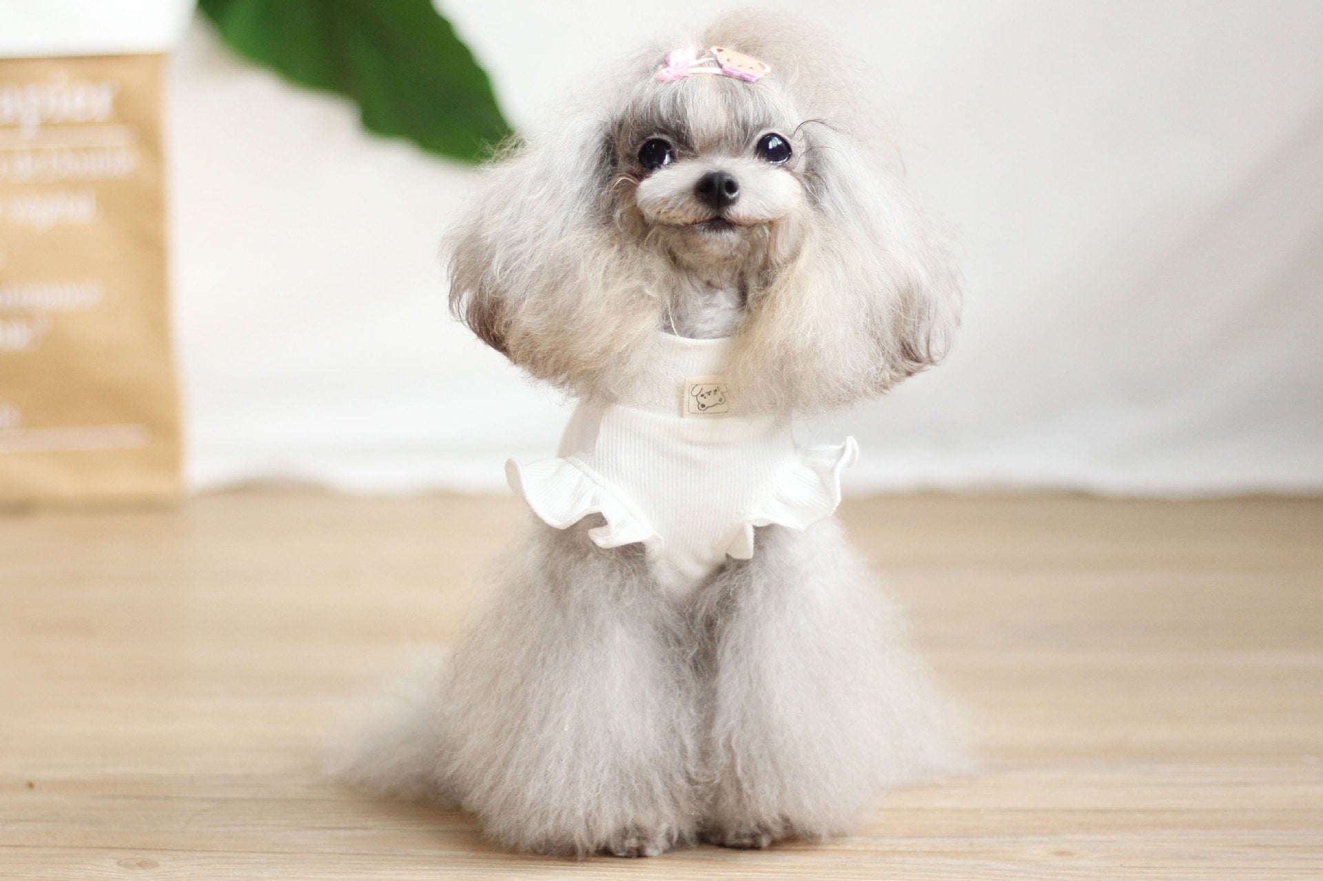 KFX-8227389 Cartoon Suspender Skirt Dress for Small Dogs, Cotton Fabric, Brown and White Options, Sizes XXS to XL